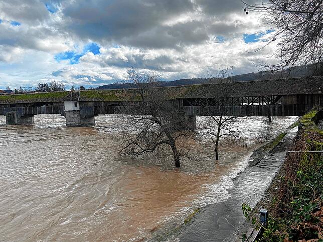 Bild 2: Rhein tritt über das Ufer