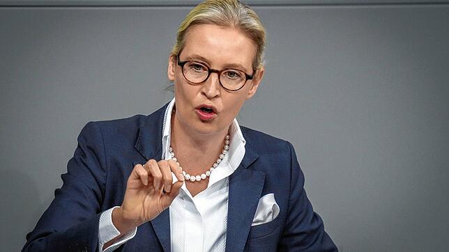 Bild : Alice Weidel schreibt jetzt in der Schweizer „Weltwoche“