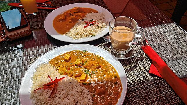 Unsere Mittagstisch-Gerichte im Tandoori-Palace: Matter Paneer und Chicken Mango.