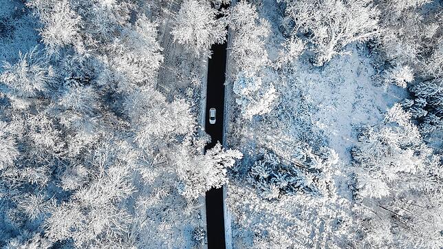 Ein Auto fährt auf einer Straße durch einen verschneiten Wald bei Zürich.