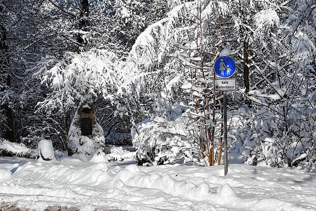 Am Waldrand sollte Halt gemacht und ein anderer Weg gesucht werden. Zu groß ist die Gefahr von Schneebruch.