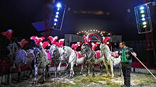Mit sechs Kaltblutpferden in der Manege: Zirkusdirektor Andre Kaiser lässt die Tiere im Circus Alessio Walzer tanzen und vergisst nicht, ...