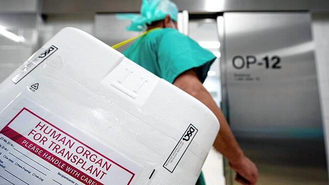 Die Zahl der Organspenden in Deutschland ist gering. Bis August hat es in diesem Jahr gerade einmal 562 Organspenden gegeben, das liegt ...