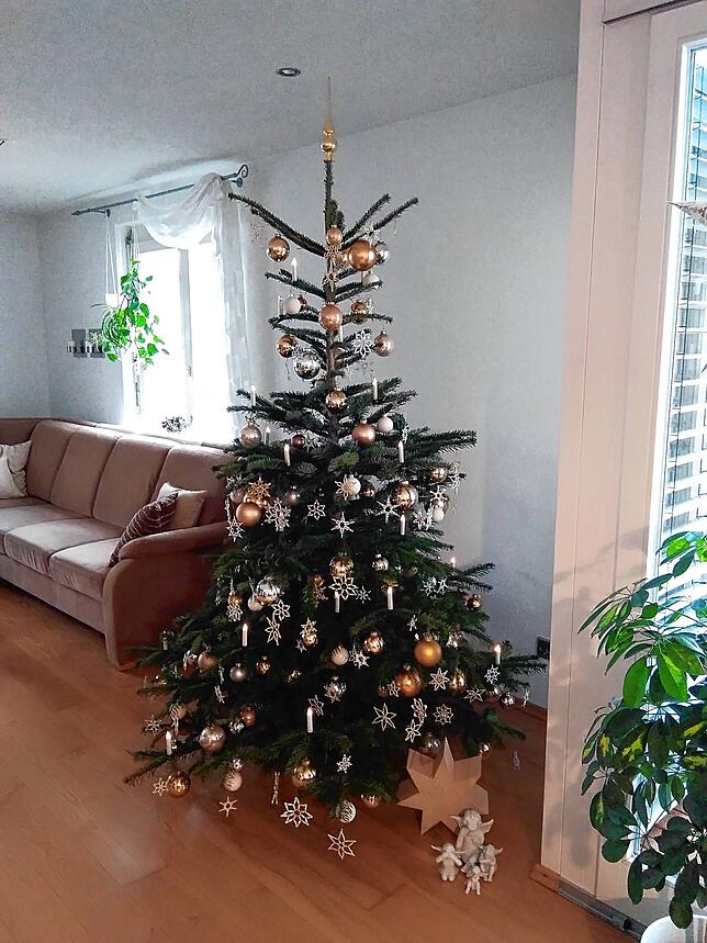 300 Perlensterne zieren den Baum von Elvira Villinger in Nöggenschwiel.