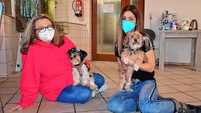 Vereinsvorsitzende Caroline Meer mit Buddy und Tierheimleiterin Indra von Gersdorff mit Maja (von links). Buddy wurde gleich als erster ...