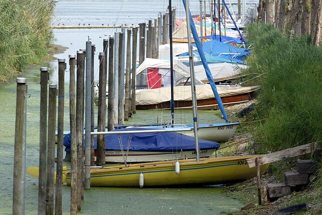Boote lagen im Hafen in Moos am Bodensee im Schlamm.
