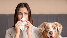Schnupfen ohne Ende? Dann handelt es sich womöglich gar nicht um eine Pollenallergie, sondern um eine Hundeallergie.