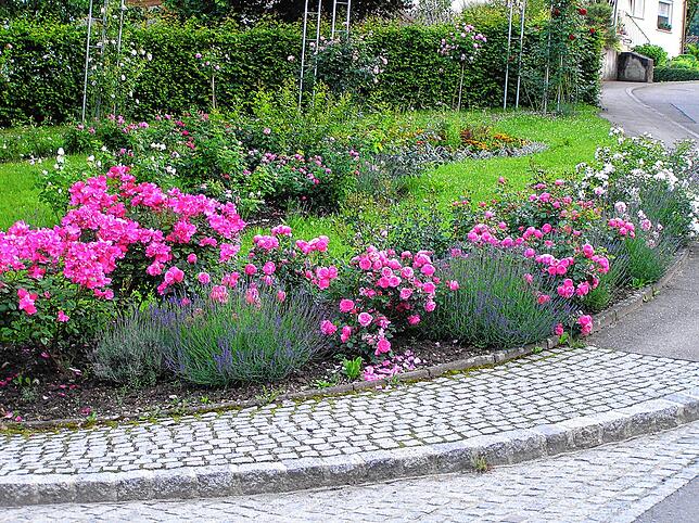 Der blühende Rosengarten in Deisendorf im Jahr 2007.
