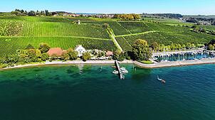 Ein Stück Konstanz in Übersee: das Rebgut Haltnau der Spitalkellerei liegt zwischen See und herrlichen Weinbergen. Hier verbringt der ...