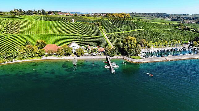 Ein Stück Konstanz in Übersee: das Rebgut Haltnau der Spitalkellerei liegt zwischen See und herrlichen Weinbergen. Hier verbringt der ...