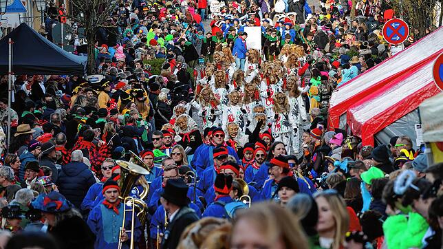 Dicht an dicht drängten sich Narren und Mäschgerle am großen Jubiläumsumzug beim Narrentreffen in der Engener Altstadt. Vor allem ...