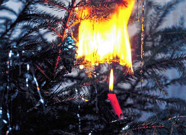 Ohne Wasser wird der Weihnachtsbaum mit der Zeit immer trockener und fängt leichter an zu brennen. Im Falle eines Feuers sollte man laut ...