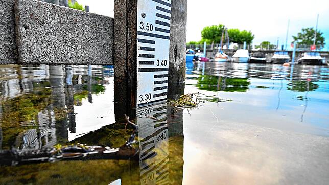 Bei der Landesstelle in Langenargen (Archivbild) sind am Samstag zahlreiche tote Fische entdeckt worden.