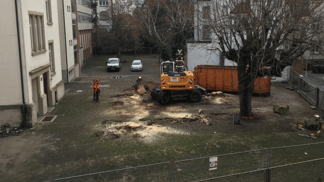 Auf dem Gelände der ehemaligen Mädchenschule Zoffingen wurden für den Bau eines Pflegeheims am 15. Januar 2019 vier Kastanien gefällt. ...
