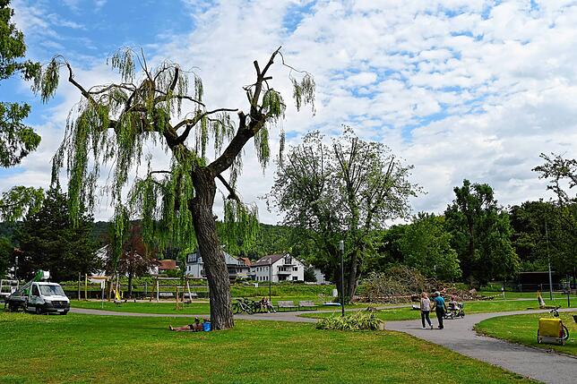 Der Stand der Aufräumarbeiten am Wochenende nach dem Sturm in Bodman-Ludwigshafen &ndash; hier der Schlösslepark.