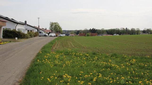 Als künftiger Schwerpunkt für die Ausweisung neuer Wohnbauflächen ist in Pfullendorf das Gewann "Galgenbühl" vorgesehen.