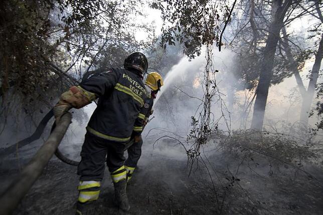 Feuerwehrleute löschen einen Waldbrand im Pinienwald von Castelfusano bei Rom (Italien).