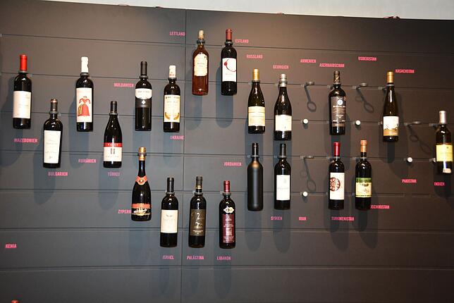 Weinbau weltweit ist ein Thema, dem sich das Vineum widmet. Bild: Sylvia Floetemeyer