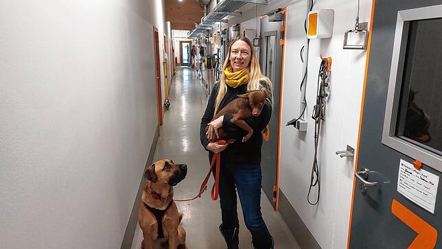 Nadine Vögel, hier mit zwei ihrer Schützlinge, ist die Leiterin des Kreistierheims in Donaueschingen.