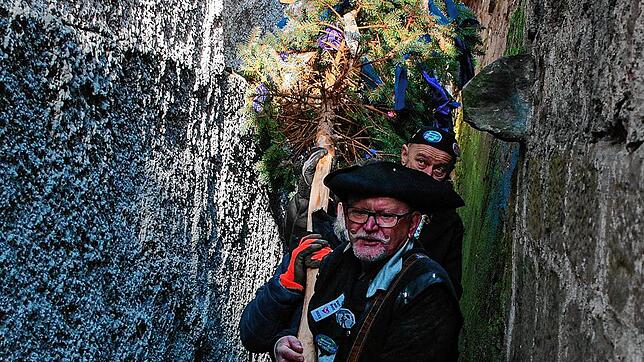 Der 15 Meter lange Narrenbaum wird auf dem Weg zum Anusch‘s Pub durch das schmale Zitronengässle getragen. Schwerarbeit für Rudi ...