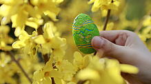 Frühling am Bodensee: Ostermärkte, Weinproben und Wanderungen bieten ein abwechslungsreiches Programm für entspannte Feiertage.