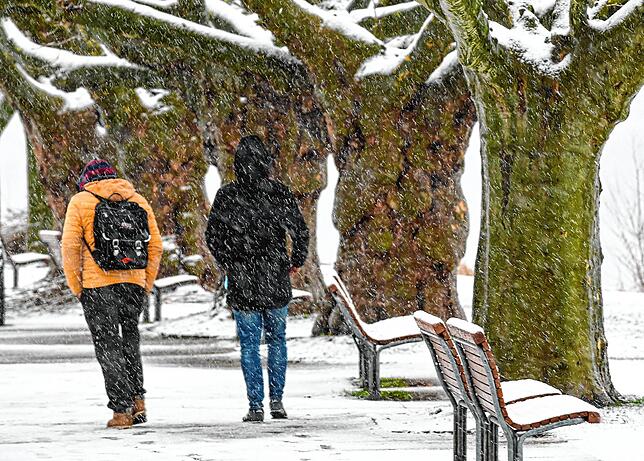 Bild 2: Für die, die heute lieber drin bleiben: Ein kleiner Einblick ins Schneetreiben in Radolfzell