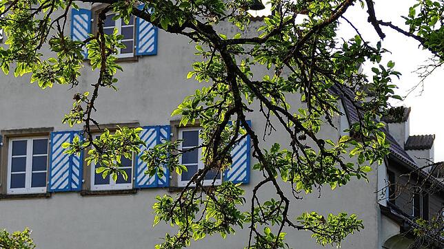 Im Rathaus von Wutach in Ewattingen wird auch in den kommenden fünf Jahren die Kommunalpolitik für die Gemeinde gemacht.
