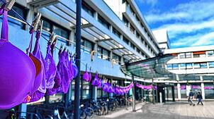 Pinke BHs hängen im Oktober – dem Monat, in dem weltweit Vorbeugung, Erforschung und Behandlung von Brustkrebs ins Bewusstsein gerückt ...