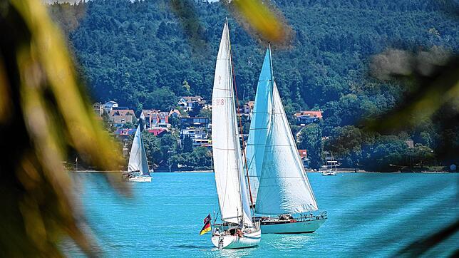Sind sie bald nicht mehr auf dem ganzen Bodensee zu sehen? Segelboote vor der Insel Mainau.