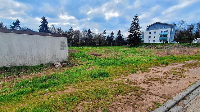 Auf dieser Fläche am Rande des Villinger Steppachs soll ein Containerdorf mit 64 Wohnboxen entstehen. Stadträte machten jetzt fast ...