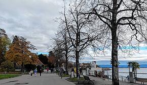 Während einige Bäume noch bunt daherkommen, sind andere an der Häfler Seepromenade bereits kahl: Mit dem November kommt der Winteranfang ...