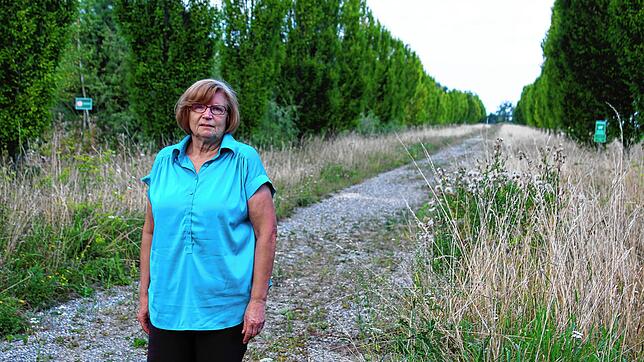 Wanderführerin Isolde Hauch vom hiesigen Schwarzwaldverein präsentiert den Nellenburg-Rundwanderweg. Sie steht hier auf der Allee, die ...