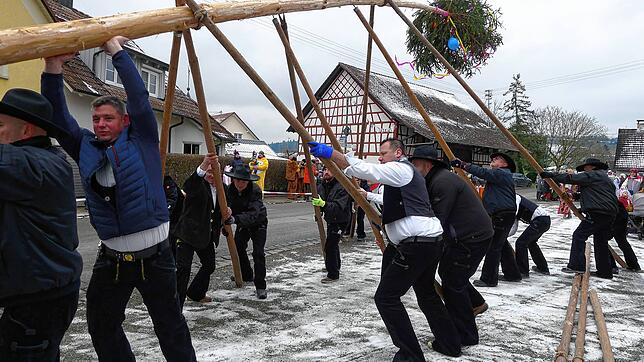 Bild : Bilder vom Narrenbaumstellen in Roggenbeuren