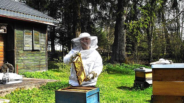 Kerstin Riesle, die Vorsitzende des Bezirksimkervereins Villingen, zieht am Lehrbienenstand eine Wabe aus einem Bienenstock heraus. ...