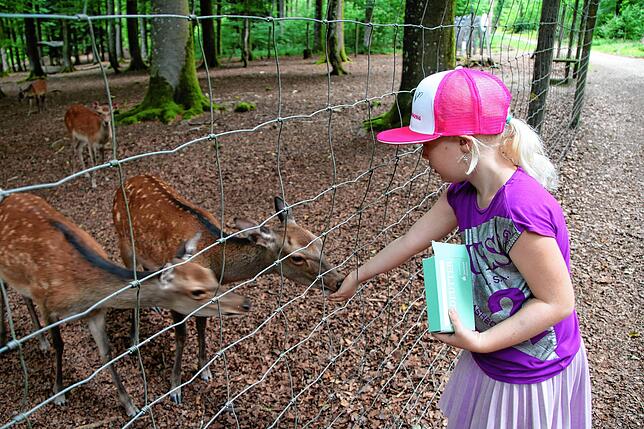 Bild 21: SÜDKURIER öffnet Türen im Waldshuter Wildgehege &ndash; und wir haben die Bilder