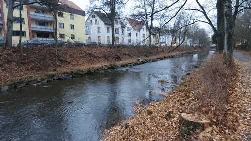 Seit einigen Tagen ist die Sicht über die Brigach hinüber zur Friedrichstraße frei. Die Stadtverwaltung hat hier Büsche und Bäume im ...