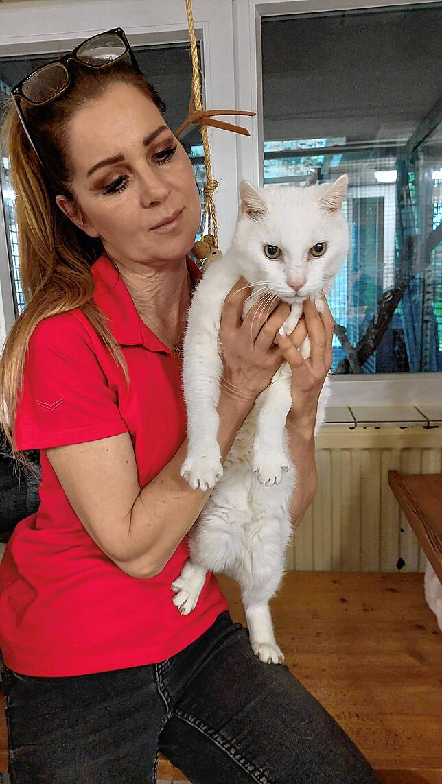 Der weiße Leo, hier bei Tierheimleiterin Indra von Gersdorff auf dem Arm, ist mit 17 Jahren der älteste Kater im Tierheim. Er ist taub, ...