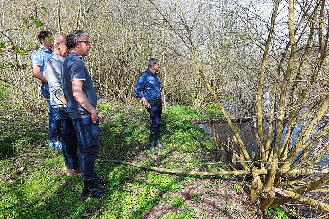 Frank Bonath (rechts) schaut sich an, was die Biber bei Drachengraben in Rietheim geschaffen haben. Für Felix Bickel (vorne) hat dies ...