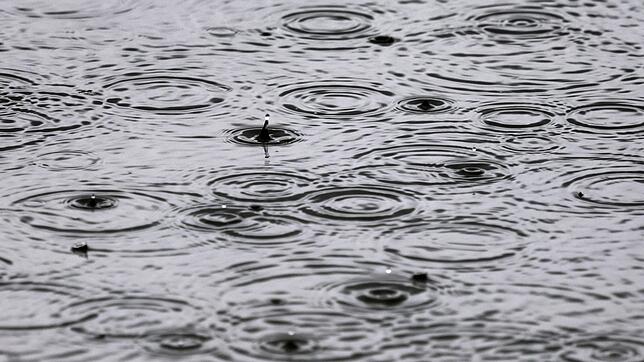 Ohne Regenschirm geht zum Herbstanfang wenig im Südwesten. (Archivbild)