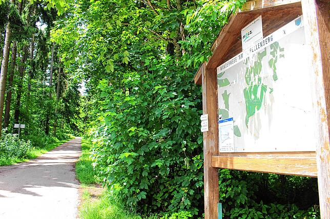 Auf dem Donaueschinger Schellenberg wäre der geeignete Platz für einen Bestattungswald. Und einen Bedarf dafür gebe es in der Region, so ...