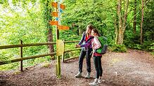Bild : Wandern im Hegau: Kommen Sie mit auf den Albertine Steig - mit Karte!