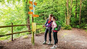 Bild : Grenzüberschreitende Rundwanderung im Hegau: Kommen Sie mit auf den Albertine Steig