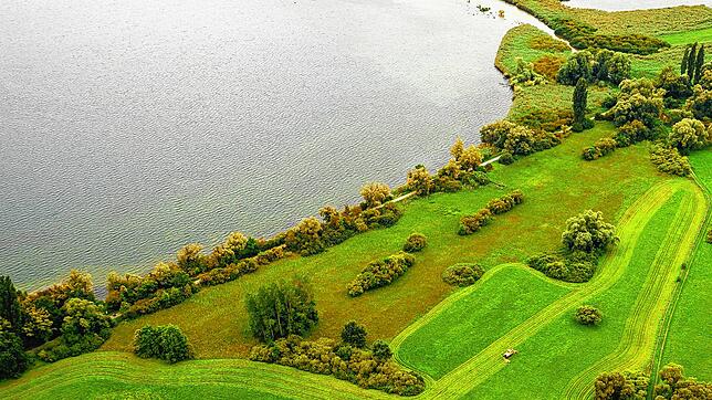 Naturschutzgebiet &bdquo;Im Hangen&ldquo; zwischen Bodman und Ludwigshafen auf einem Bild von 2019.