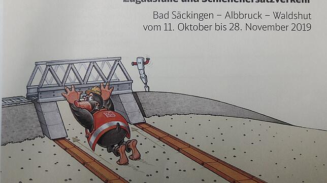 Mit diesem Motiv informiert die Deutsche Bahn ihre Kunden über die Bauarbeiten für die neue Albtalbrücke und den Schienenersatzverkehr.