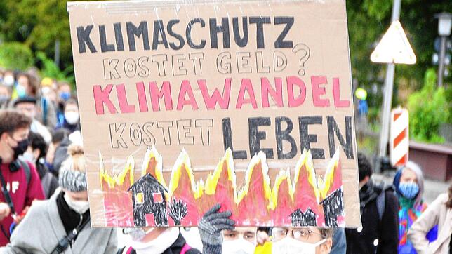 Das Archivbild zeigt Teilnehmer einer Demonstration der Bewegung &bdquo;Fridays for Future&ldquo;. Den Konstanzer Gemeinderäten gehen ...