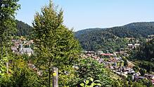 Auf den Höhen rund um Todtmoos gibt es Potenzial für Windräder; hier der Blick Richtung Nordosten, wo sich die Gemarkungsgrenze nach ...