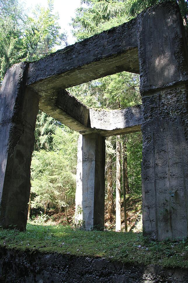 Der Wahnsinn hatte System: Mitten im Wald erheben sich schwere Betongerüste.