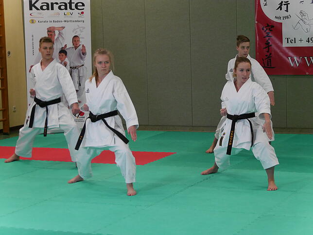 Das Kata-Team aus der Leistungsgruppe (von links): Tilo Heep, Jana Heep, Robin Heep und Julia Wunderle.