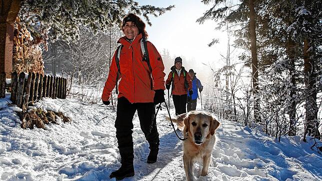 Gemeinsam Schnee und Sonne aktiv genießen: Das geht auch ohne spezielle Wintersport-Kenntnisse und -Geräte. Winterwanderwege machen es ...