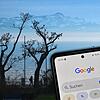 Welche Suchanfragen geben die Menschen bei Google im Zusammenhang mit dem Bodensee ein? Mit dem Angebot Trends lässt sich ein kleiner ...